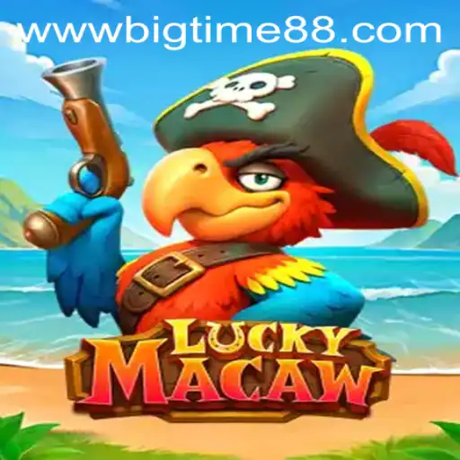 Discovering LuckyMacaw: Enter BigTime88 and Win Big
